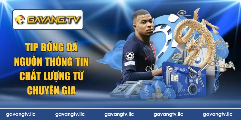 tip bóng đá